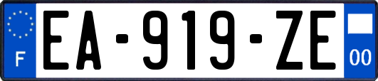 EA-919-ZE