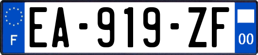 EA-919-ZF