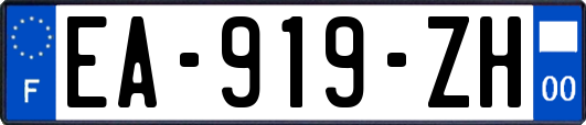 EA-919-ZH