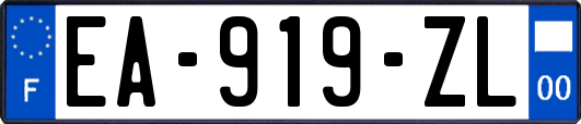 EA-919-ZL