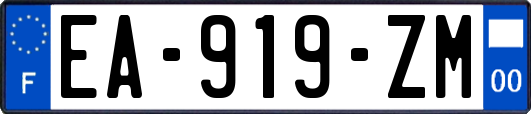 EA-919-ZM