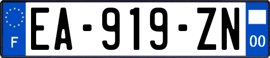 EA-919-ZN