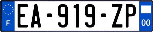 EA-919-ZP