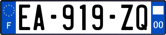 EA-919-ZQ