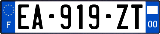 EA-919-ZT