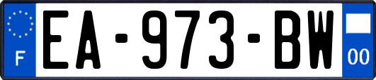 EA-973-BW