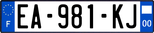 EA-981-KJ