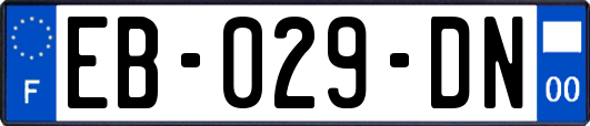 EB-029-DN