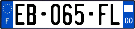 EB-065-FL