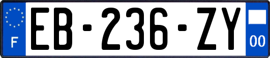 EB-236-ZY