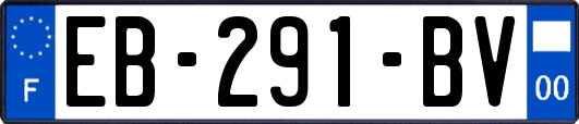 EB-291-BV