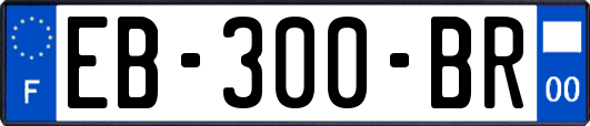 EB-300-BR