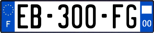 EB-300-FG