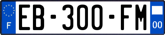 EB-300-FM