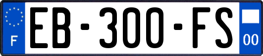 EB-300-FS