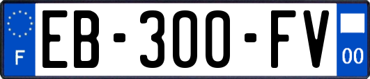 EB-300-FV