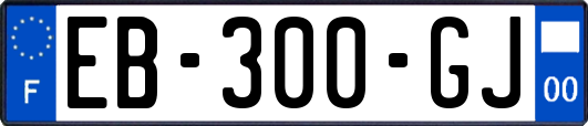 EB-300-GJ