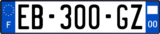 EB-300-GZ