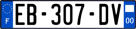 EB-307-DV