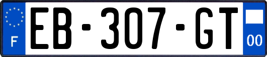 EB-307-GT