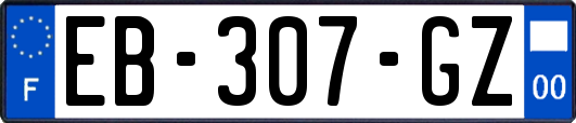 EB-307-GZ