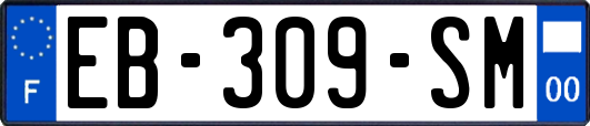 EB-309-SM