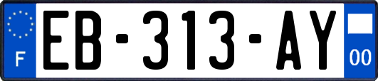 EB-313-AY