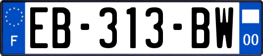 EB-313-BW