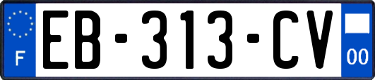 EB-313-CV