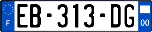 EB-313-DG