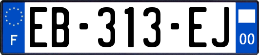 EB-313-EJ