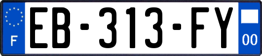 EB-313-FY