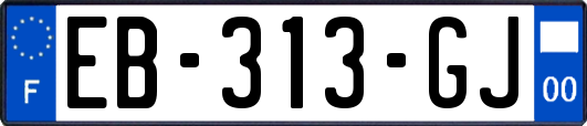 EB-313-GJ