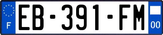 EB-391-FM