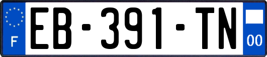 EB-391-TN