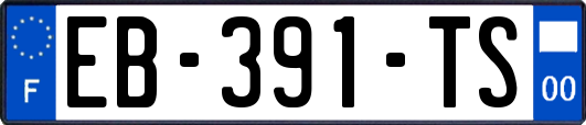 EB-391-TS