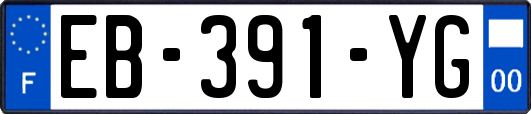 EB-391-YG