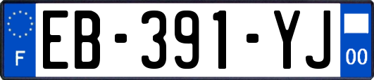 EB-391-YJ