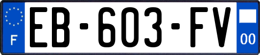 EB-603-FV