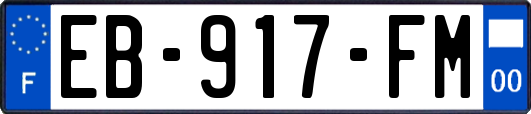 EB-917-FM