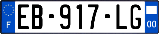 EB-917-LG