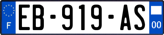 EB-919-AS