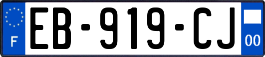 EB-919-CJ