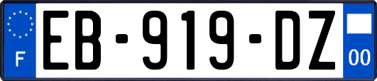 EB-919-DZ