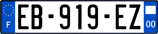 EB-919-EZ