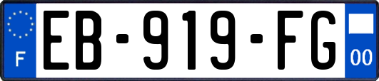 EB-919-FG