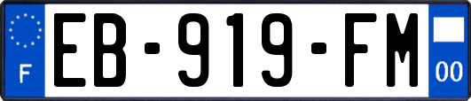 EB-919-FM