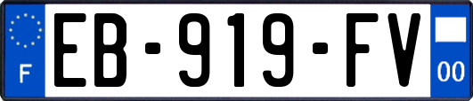 EB-919-FV