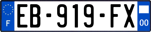 EB-919-FX