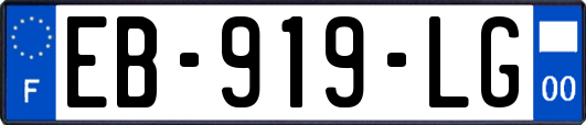 EB-919-LG